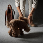 A small brown curly-haired dog stands on a gray studio floor while a person in light beige pants and brown boots reaches down to pet it. A brown leather tote bag sits on the left against a dark gray backdrop.
