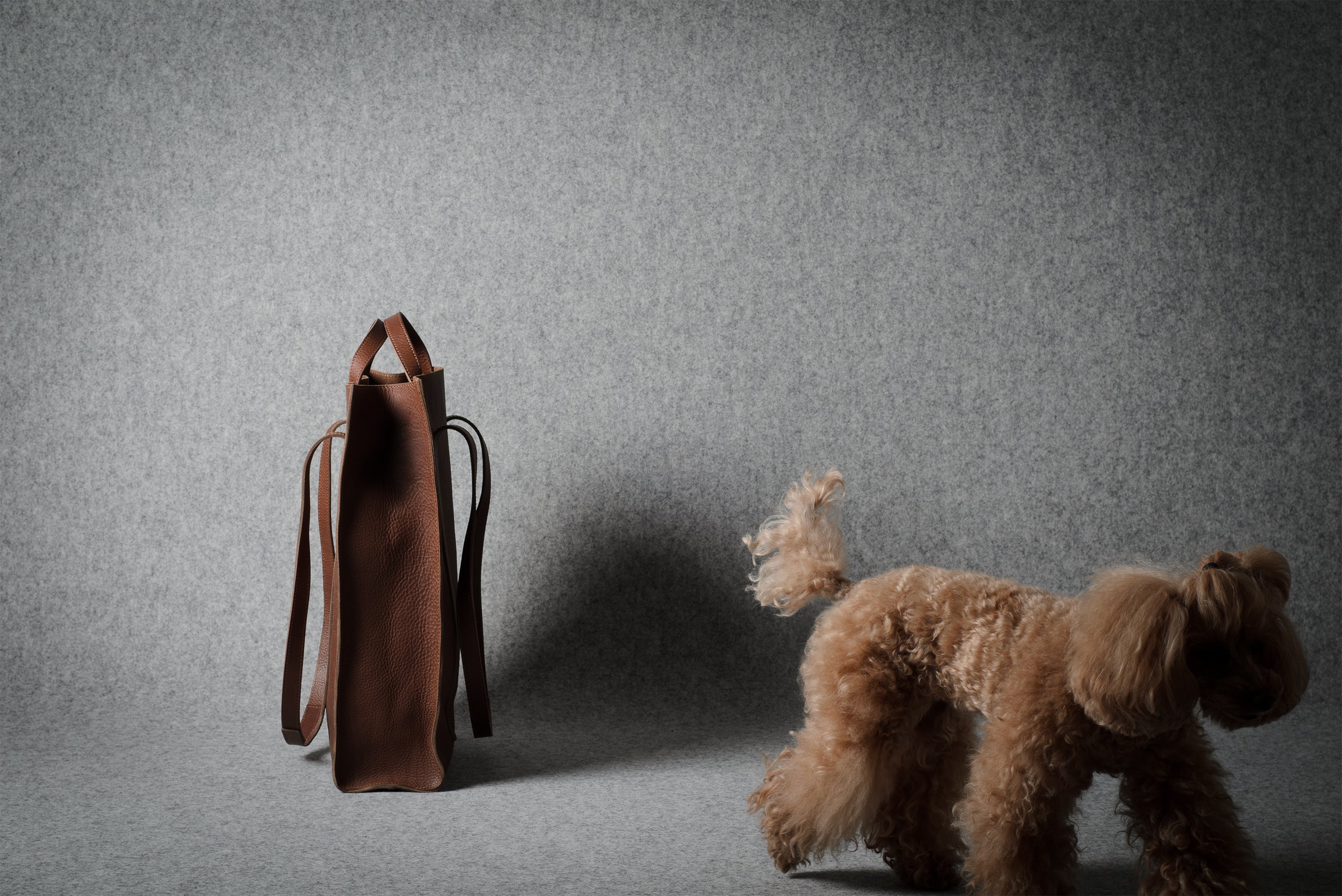 A brown leather tote bag stands on a gray studio floor next to a small fluffy brown dog, with the dog facing away from the camera.