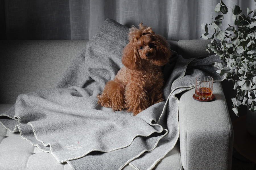 Wool Blanket . Light Grey
