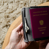 Travel Passport Wallet . Classic